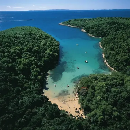 Grbac * Barbat na Rabu