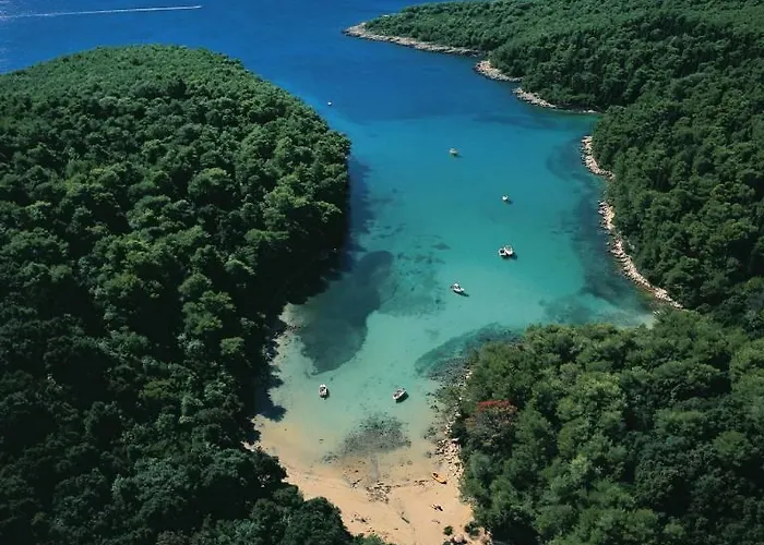 Grbac * Barbat na Rabu